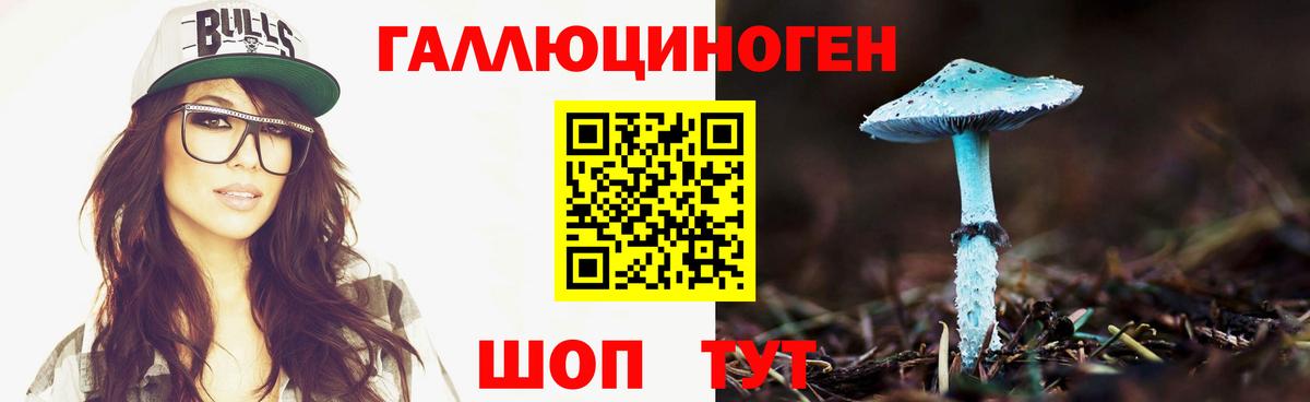 Дзержинский  Галлюциногенные грибы Cubensis  Вход с VPN 